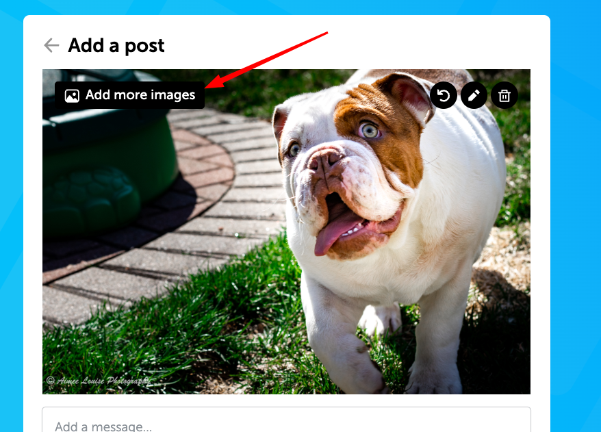screenshot of the Add a Post page where one image has been uploaded. A red arrow points to a button in the upper left-hand corner of the uploaded image that reads Add more images.
