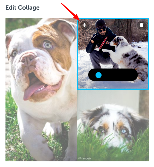 How do I create an image collage in my post? – Kudoboard