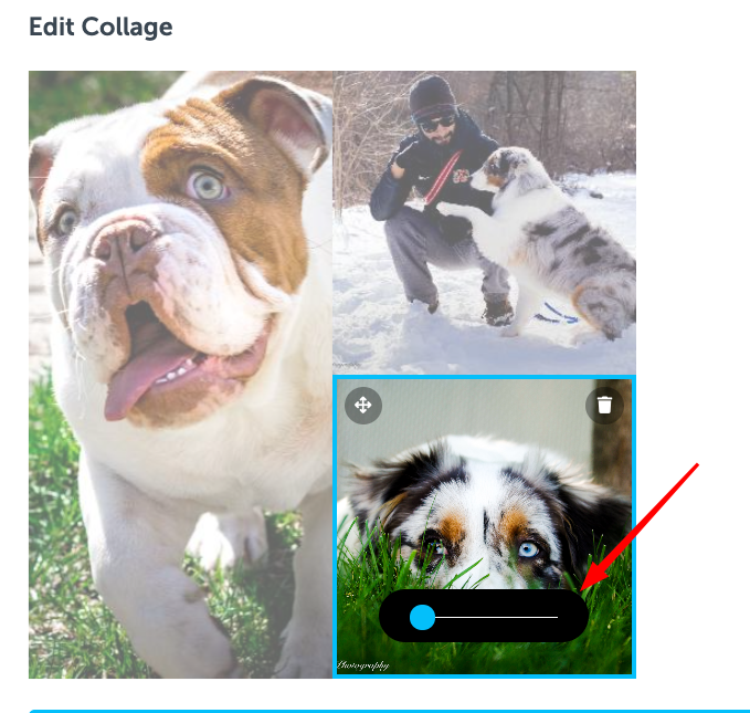 screenshot of three images arranged in a collage with the lower right-hand image highlighted by a blue box to show it is selected. A red arrow points to an oval-shaped slider with a blue circle on the straight line in the center of the oval-shaped slider that can be dragged left and right.