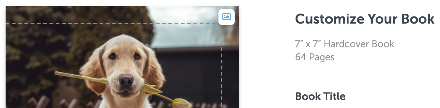 Screen_Shot_2021-11-18_at_3.33.40_PM.png